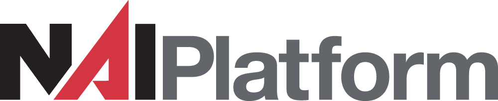 NAI_Platform Logo